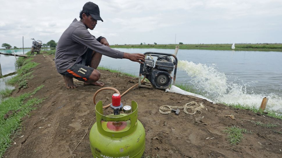 Petambak memeriksa mesin pompa air yang dimodifikasi menggunakan bahan bakar gas LPG di Desa Wanantara, Sindang, Indramayu, Jawa Barat, Jumat (14/10/2022).  ANTARA FOTO/Dedhez Anggara
